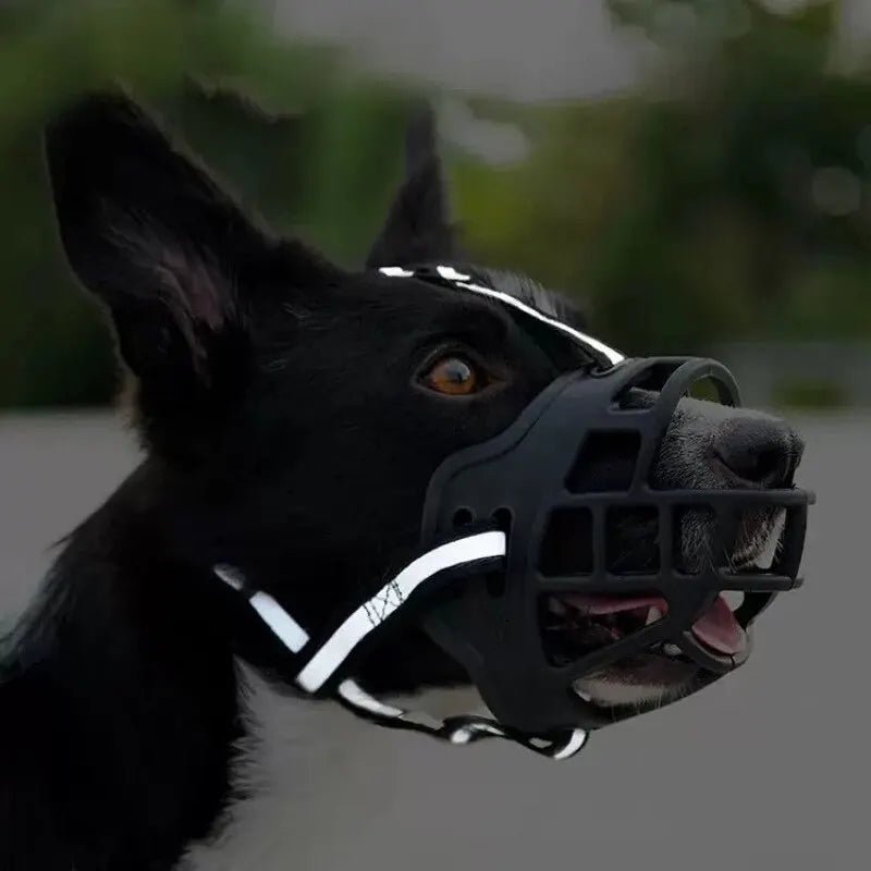 Anti - BarkDog™ - Canichechou