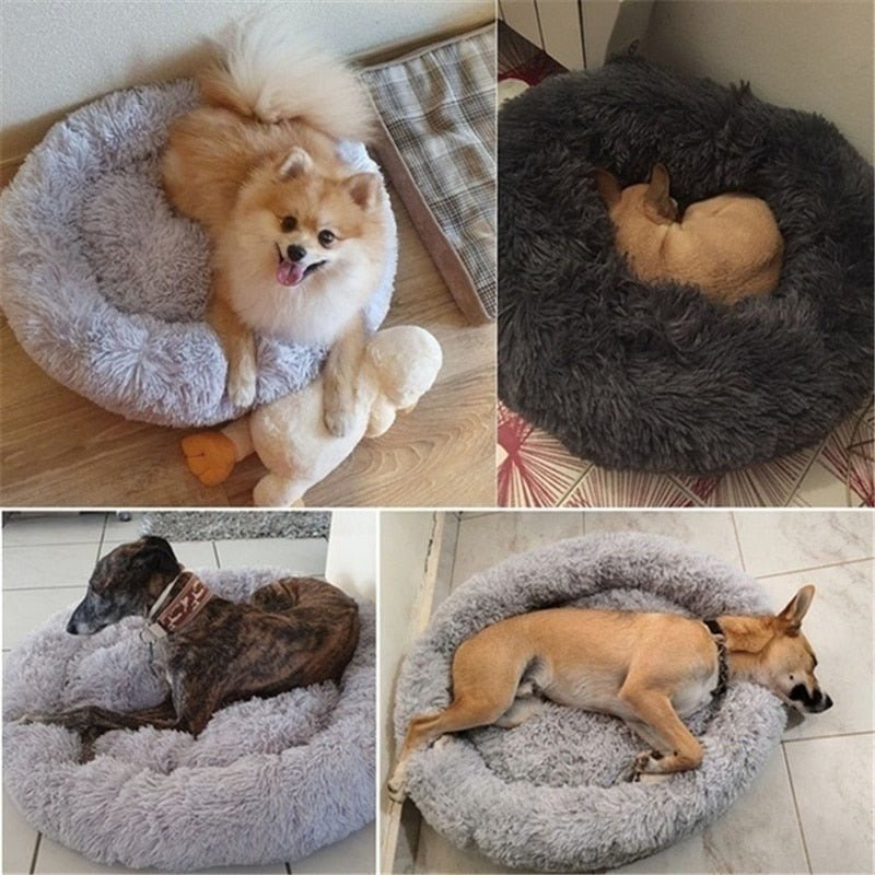 DoggyPouf™ - Coussin doux pour chien - Canichechou