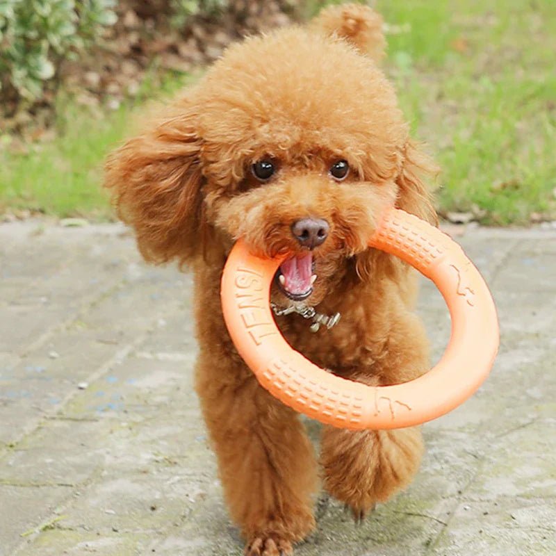 DogTrainingRing™ - Canichechou