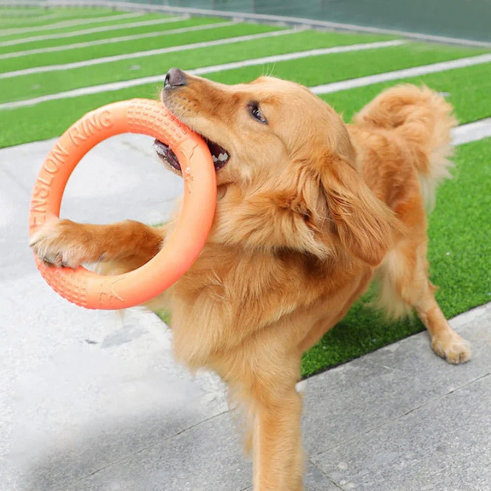 DogTrainingRing™ - Canichechou