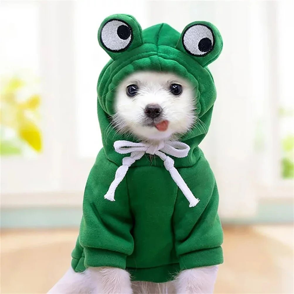 HoodieGrenouilleMignonPourChiens™ - Canichechou