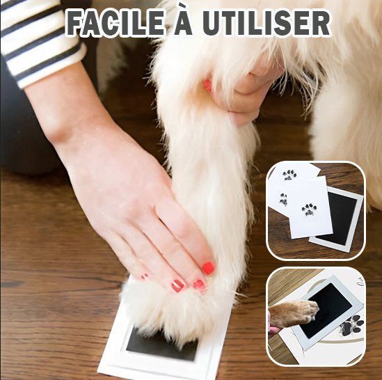 Kit d'Empreintes de Pattes de Chien - Canichechou