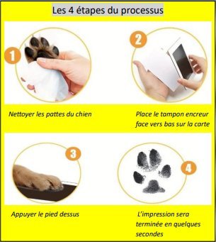 Kit d'Empreintes de Pattes de Chien - Canichechou