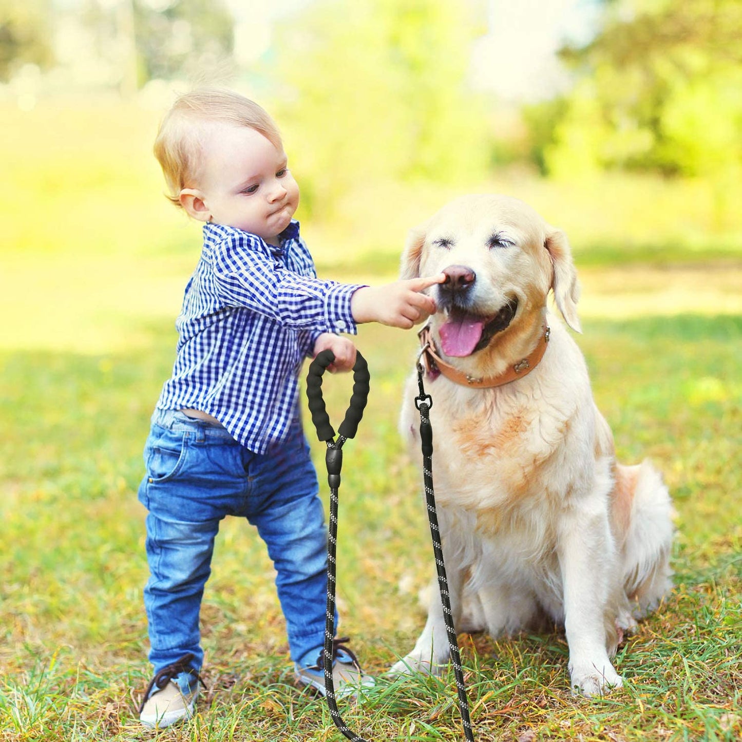 LaisseEduc™ - Corde en Nylon pour chien | Chien - Canichechou