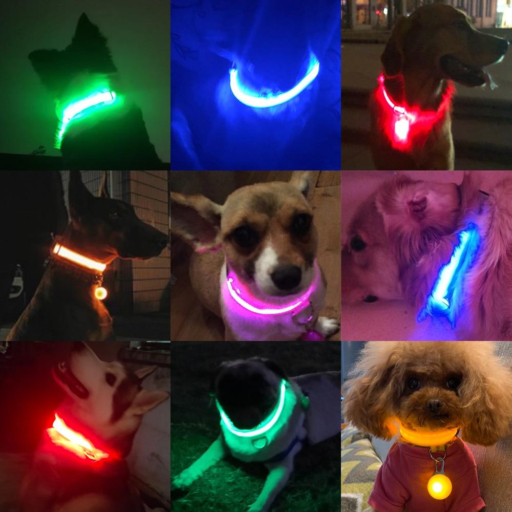 LedCollar™ - Collier à LED rechargeable pour chien - Canichechou