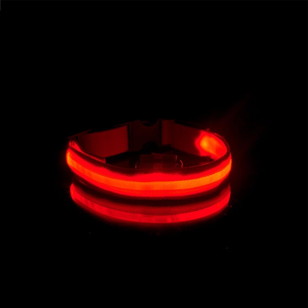 LedCollar™ - Collier à LED rechargeable pour chien - Canichechou