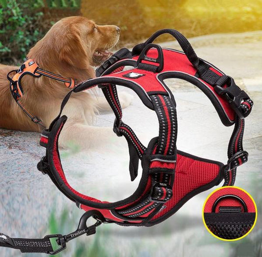 SafetyHarness™ - Harnais pour animal de compagnie - Canichechou