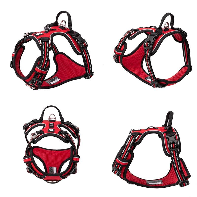 SafetyHarness™ - Harnais pour animal de compagnie - Canichechou