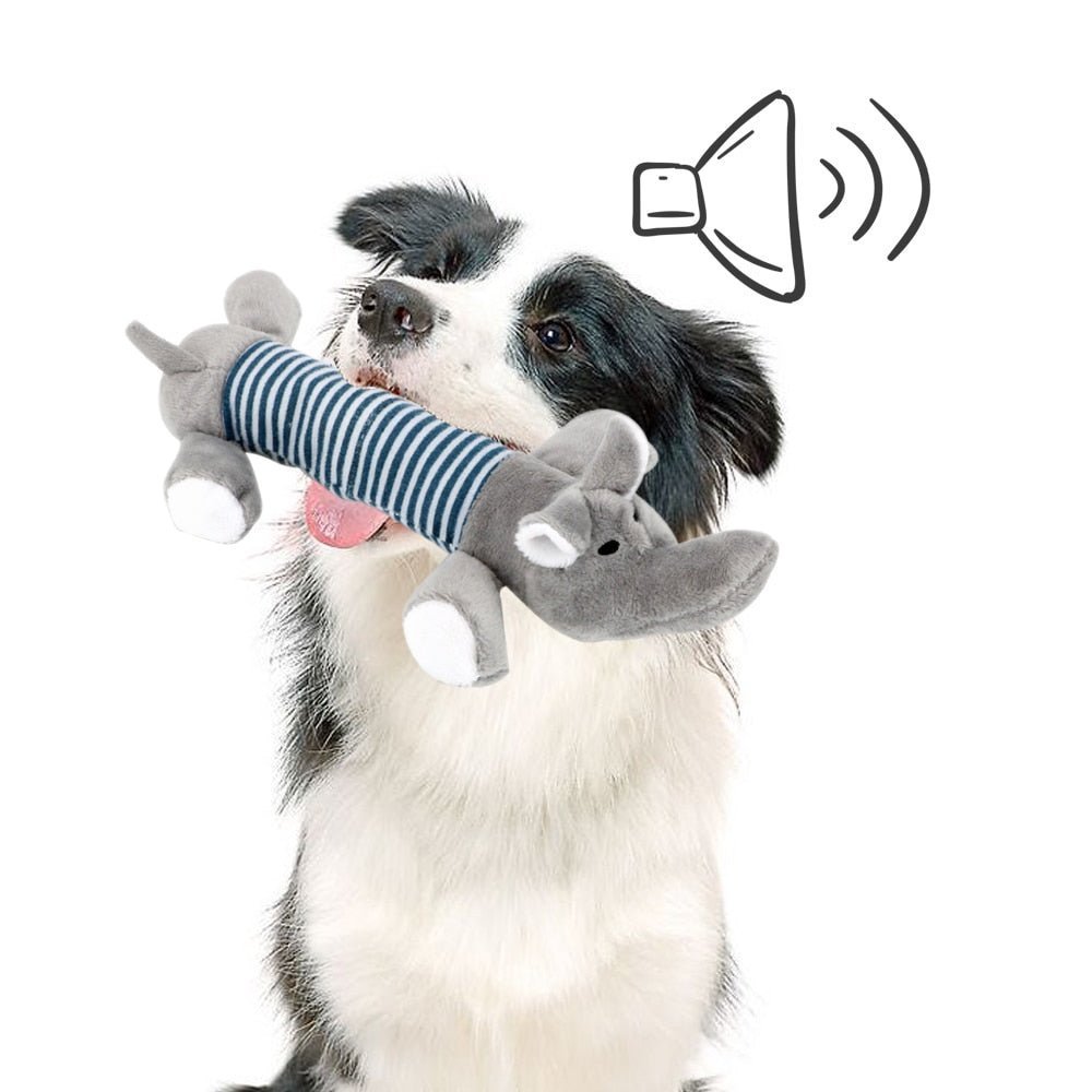 SoundToys™ - Jouet peluche pour chiens - Canichechou